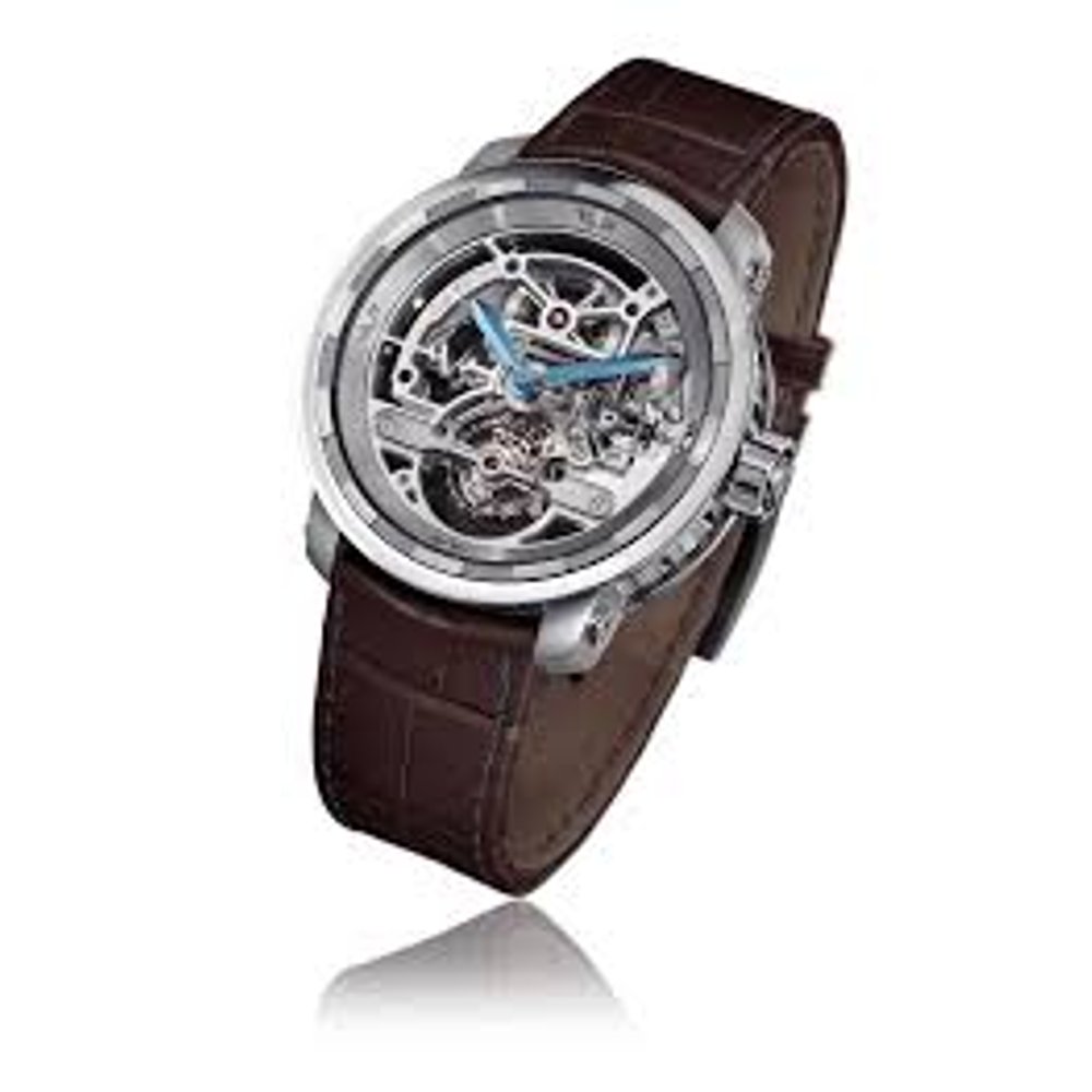 De Witt Twenty-8-Eight Skeleton