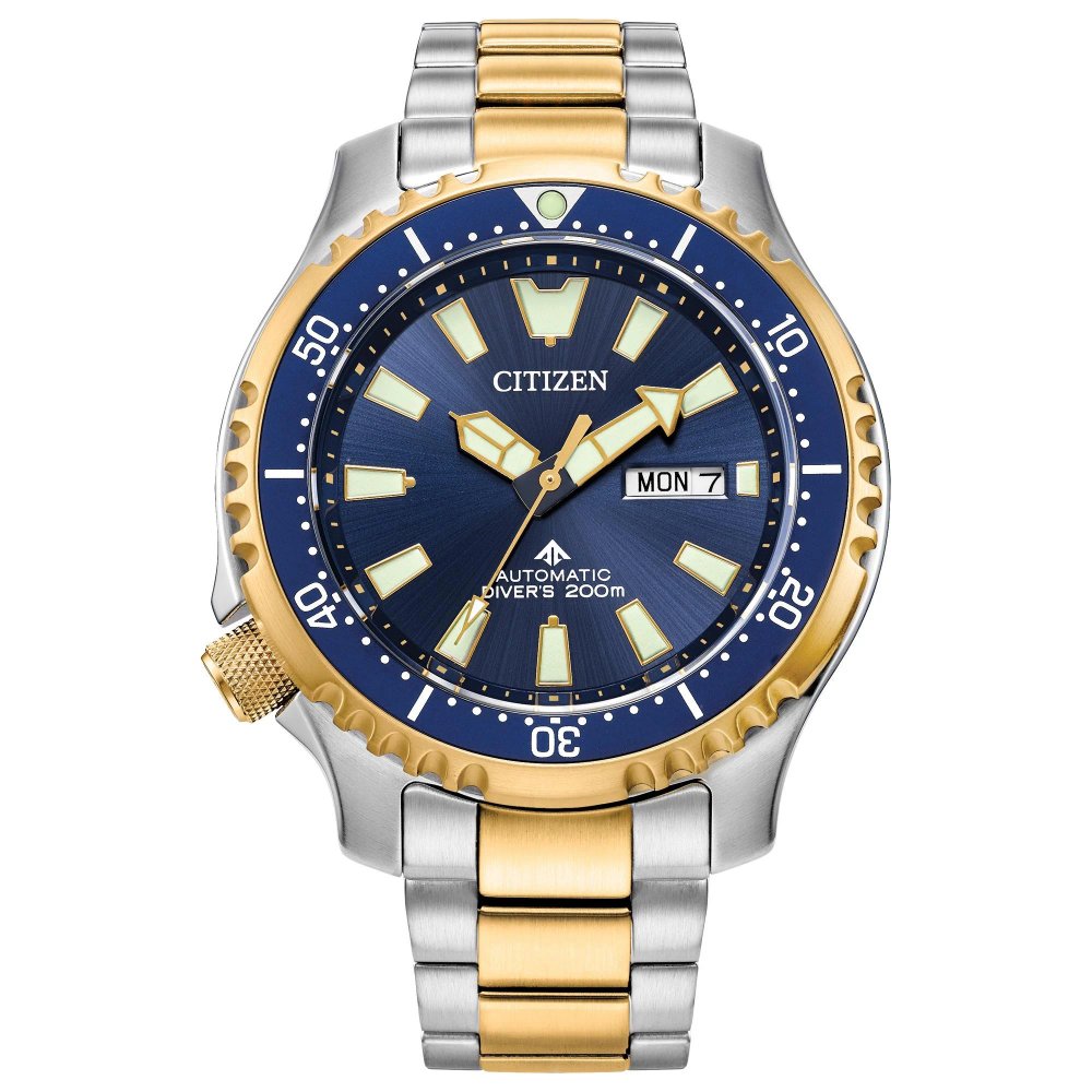 Citizen Promaster Diver BN0190 Blue