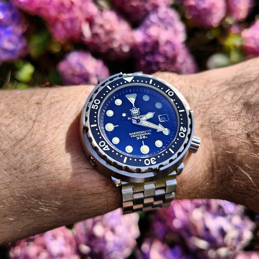 Steeldive SD1975 Turtle