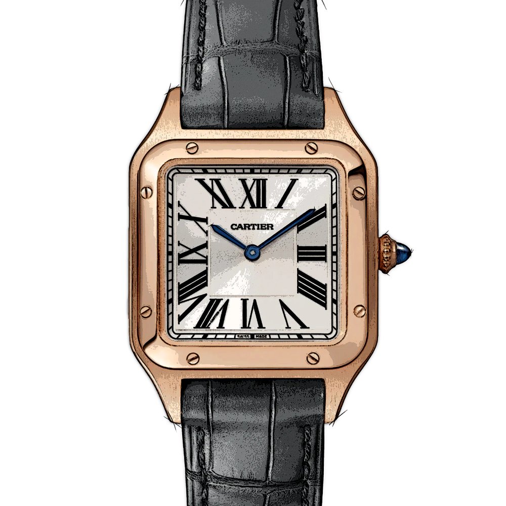 Cartier Santos Dumont Large Manual