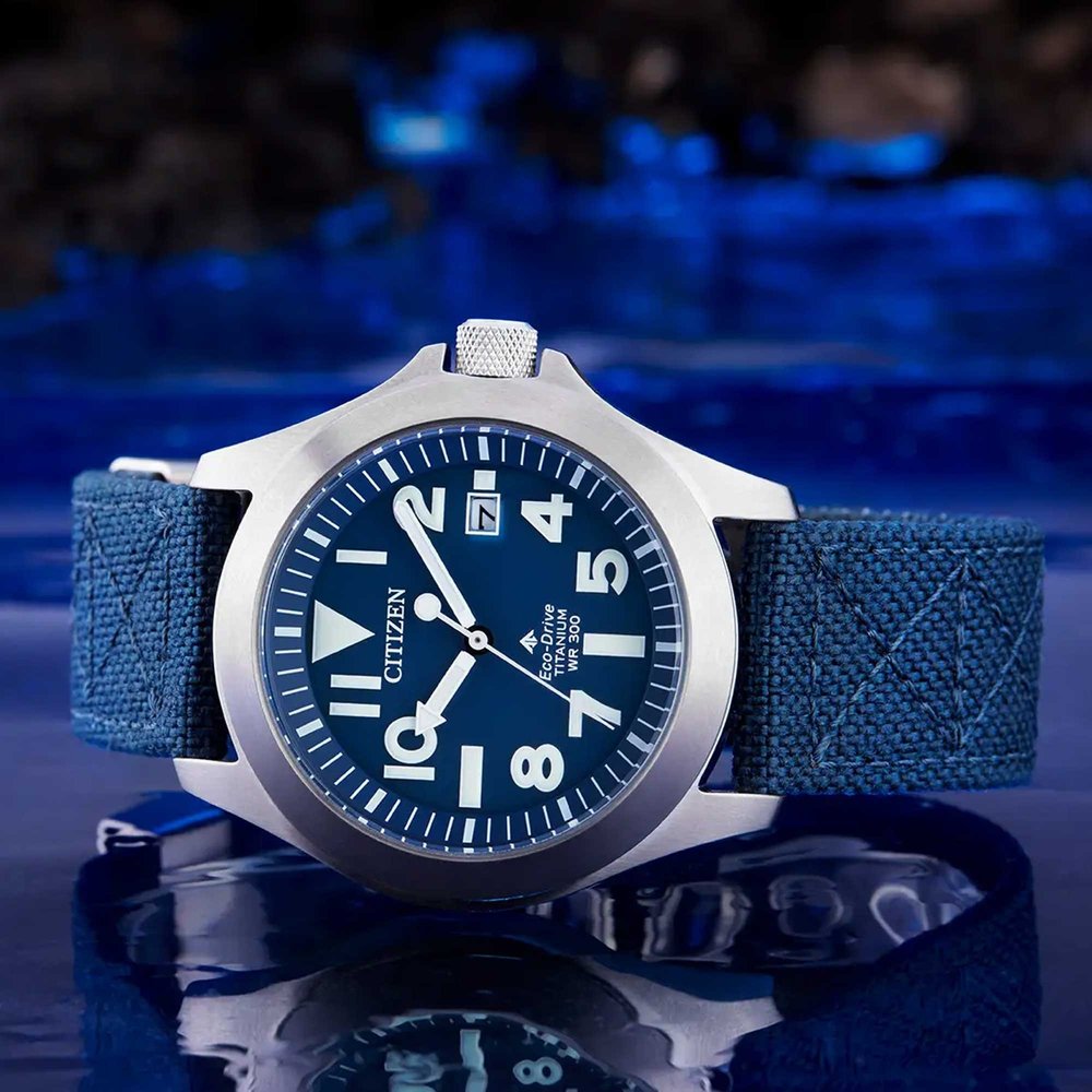 Citizen Promaster Land BN0118