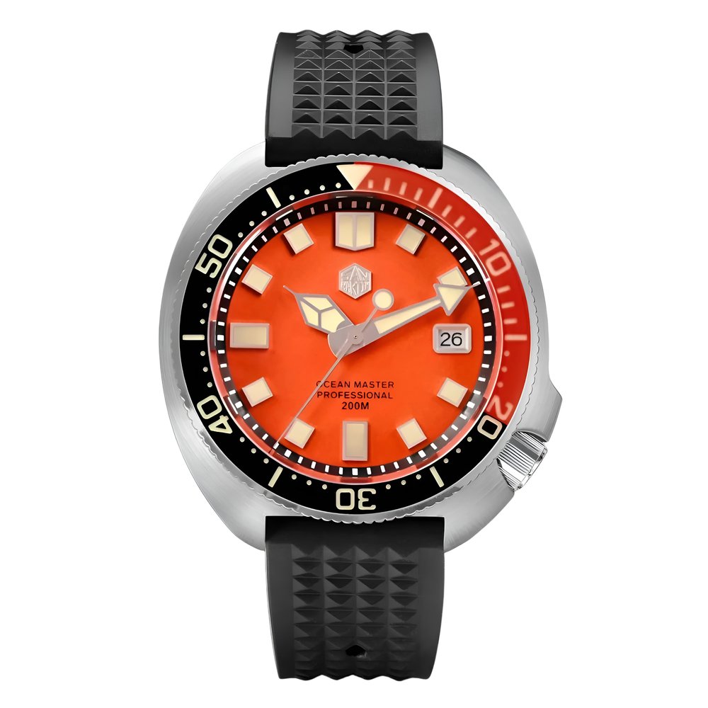 San Martin Turtle Diver