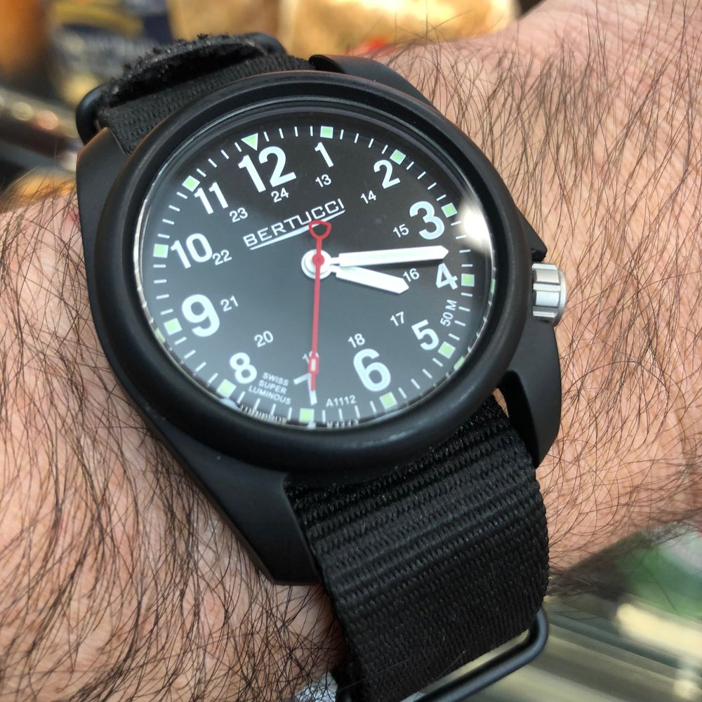 Bertucci D-1 Diplomat